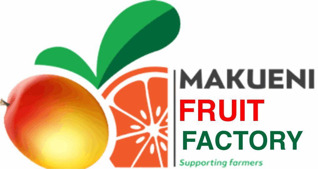 Epoxy floor at Makueni Fruit Processing Plant